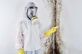 Forensic Mold Investigation in Coquille, OR